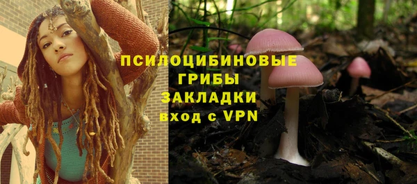 шишки Абдулино