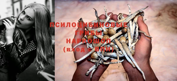 шишки Абдулино