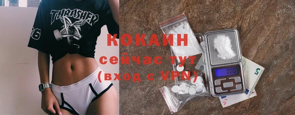 шишки Абдулино