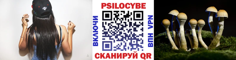 дарк нет какой сайт  Андреаполь  Галлюциногенные грибы прущие грибы 